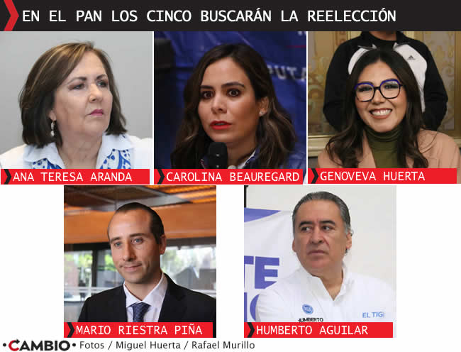 reeleccion diputados federales puebla panistas