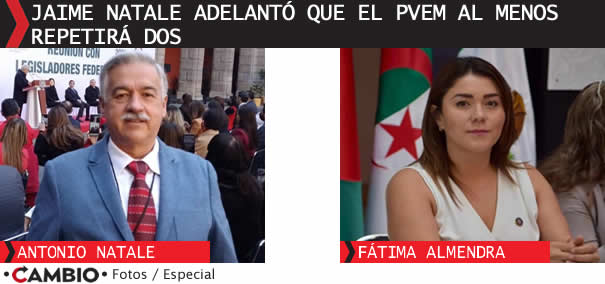 reeleccion diputados federales puebla pvem