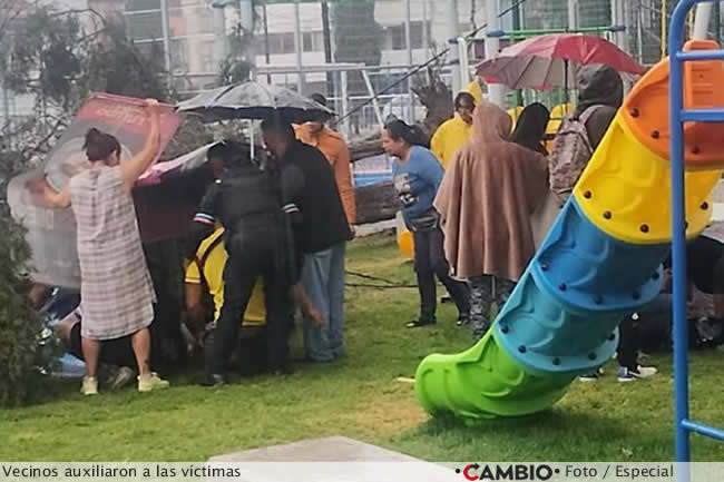 cae arbol parque las hadas recien inaugurado lalo rivera 