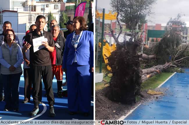 cae arbol parque las hadas recien inaugurado lalo rivera