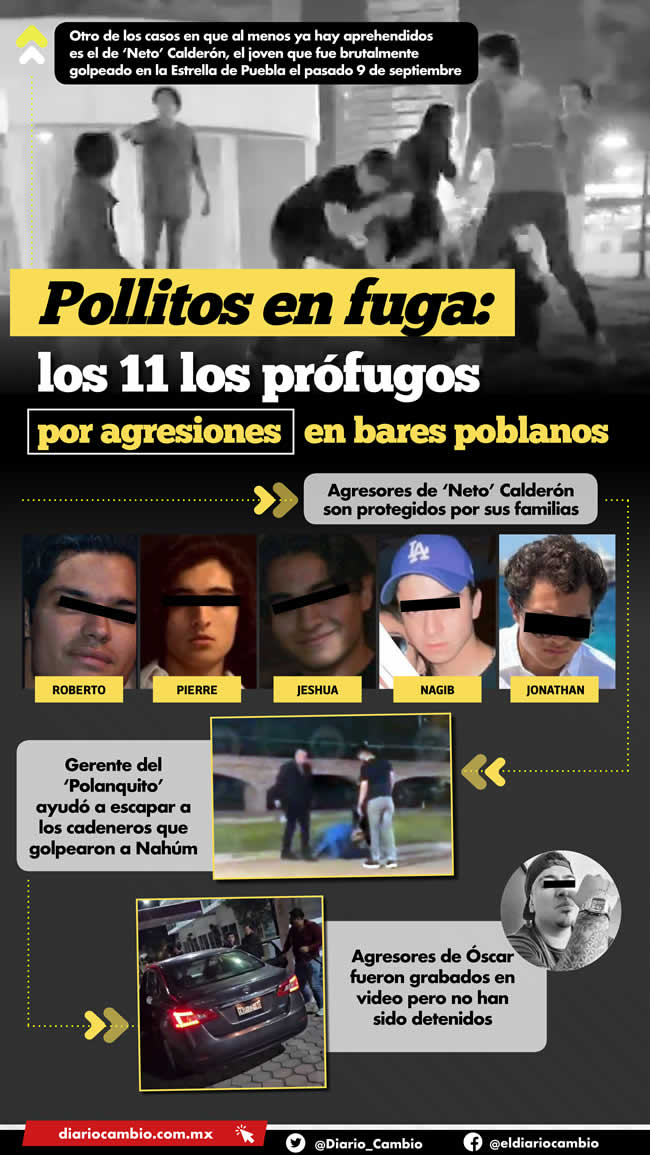 infografia pollitos en fuga bares puebla