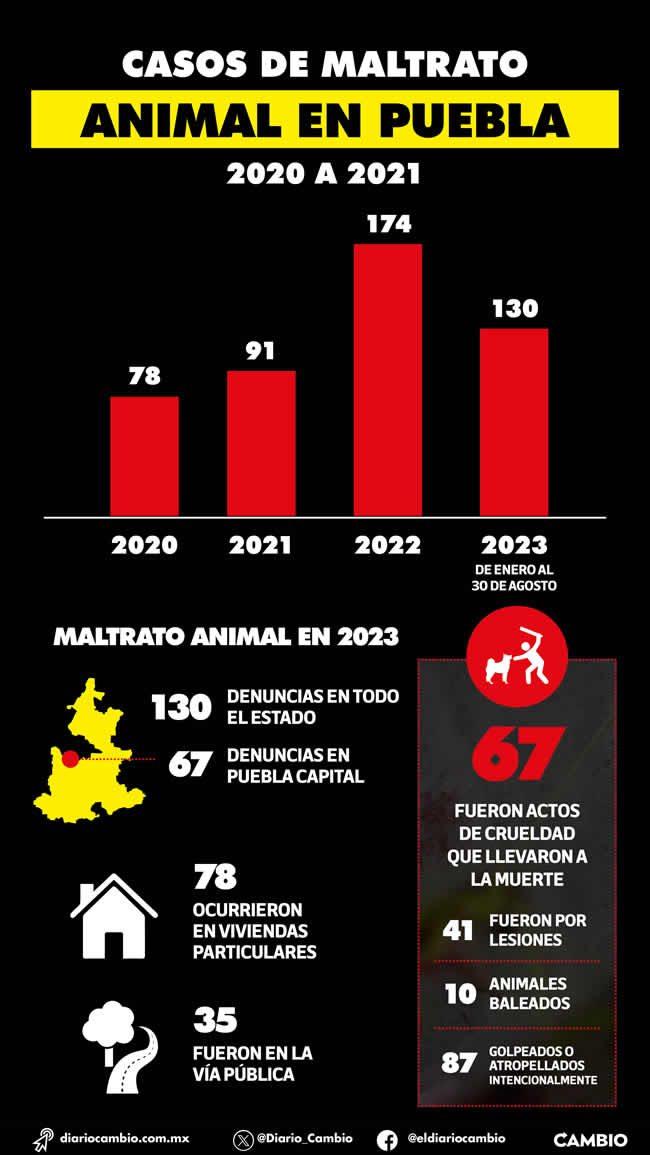 infografia casos maltrato animal puebla