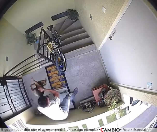 sergio salomon caso perrita enedina castigo ejemplar