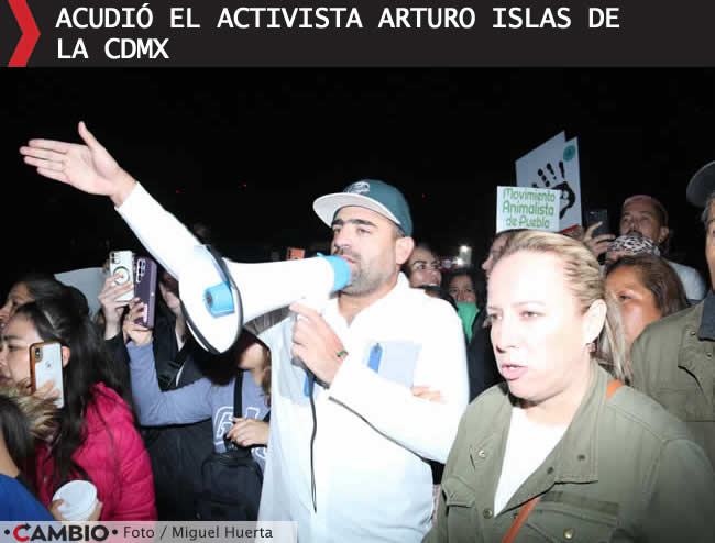 manifestacion animalistas via atlixcayotl maltrato animal arturo islas