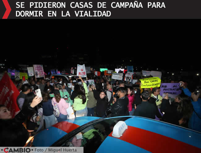 manifestacion animalistas via atlixcayotl maltrato animal casas campania