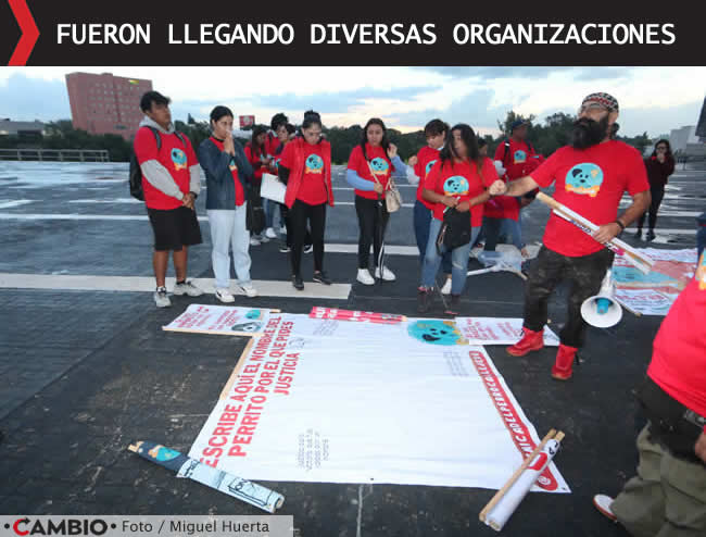 manifestacion animalistas via atlixcayotl maltrato animal organizaciones