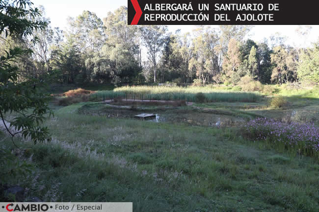 lalo rivera pone marcha obras parque del ajolote