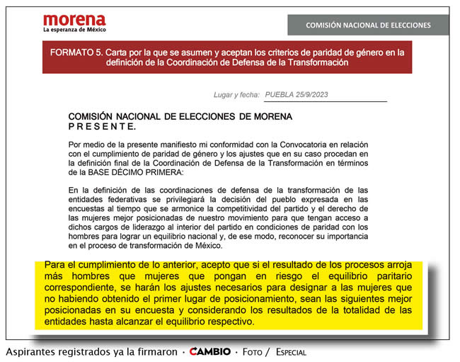 formato criterios paridad genero elecciones morena