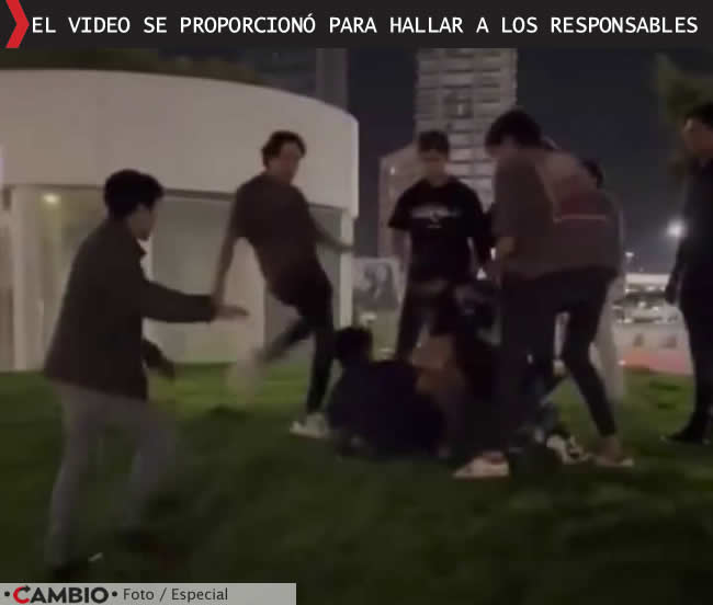 vinculan proceso gemelos golpearon neto video