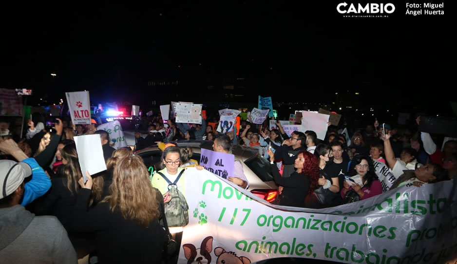 islas activista 6.jpg
