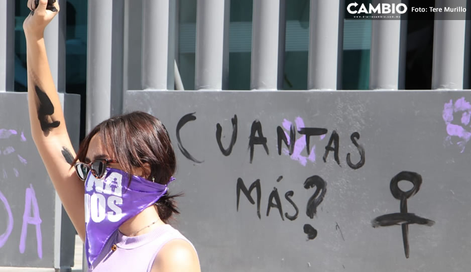 justicia aline 3.jpg