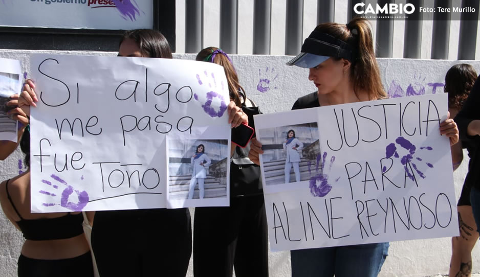 justicia aline 5.jpg