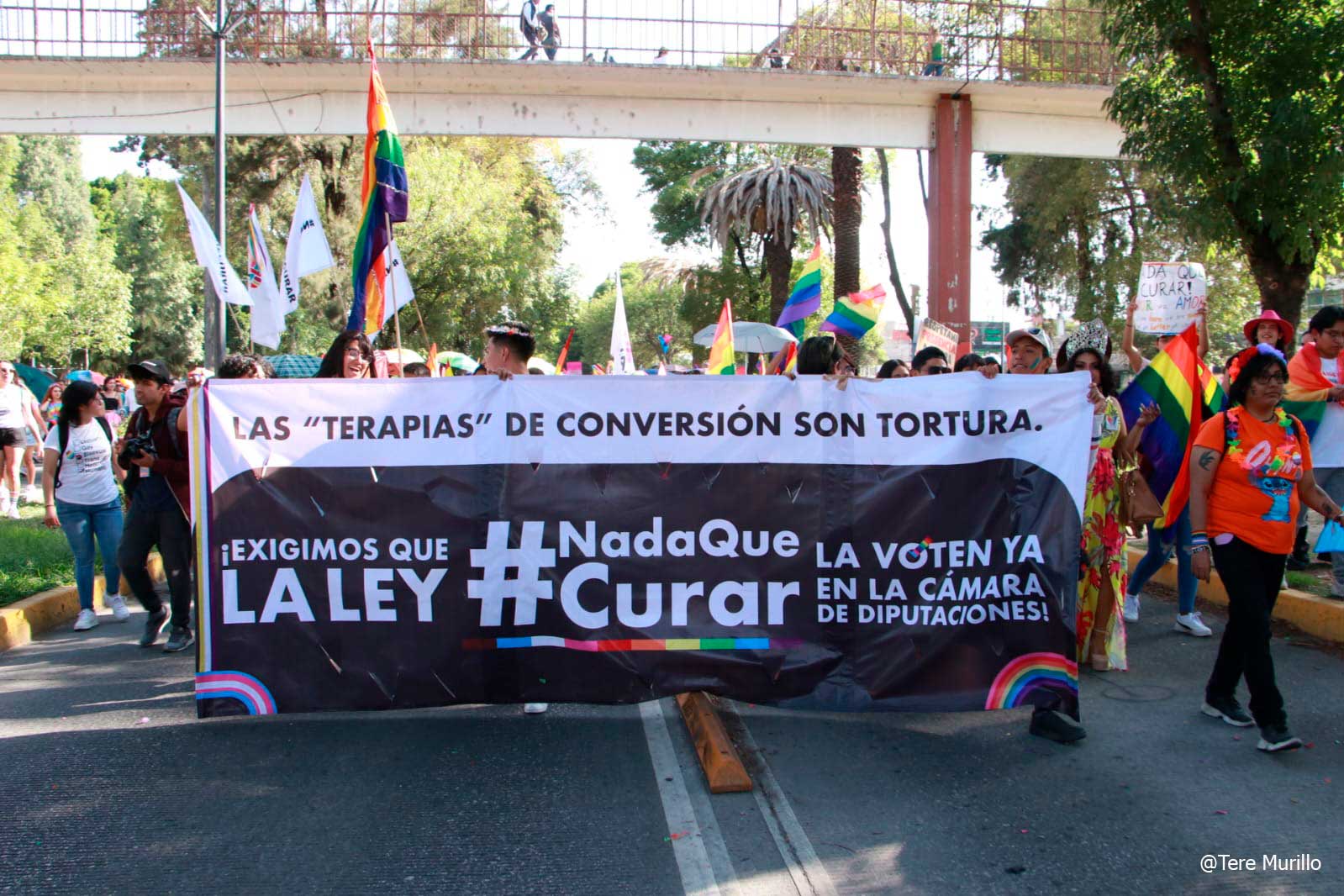 marcha4.jpg