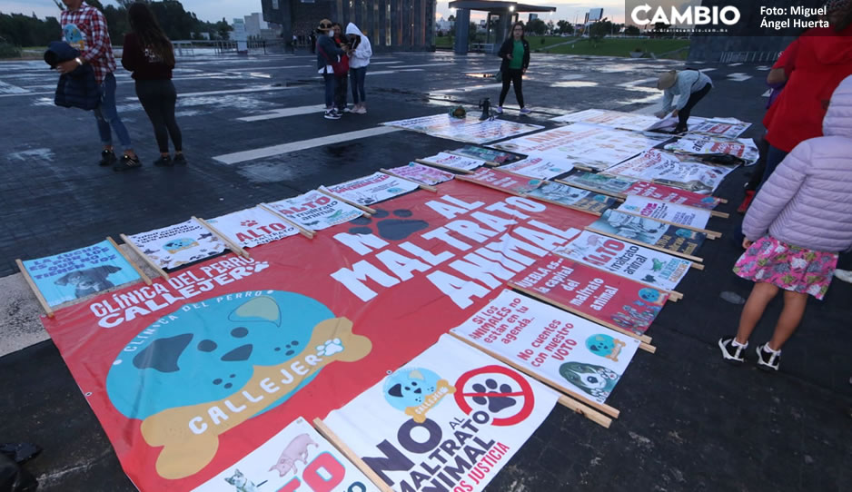 marcha animales puebla .jpg