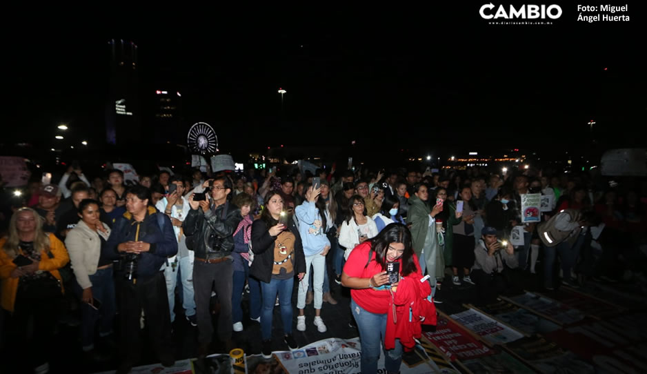 marcha animales puebla 5.jpg