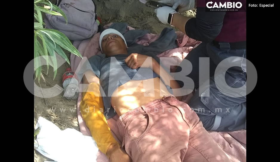 migrante la bestia.jpg