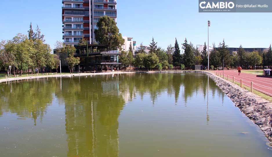 parquedelarte2.jpg