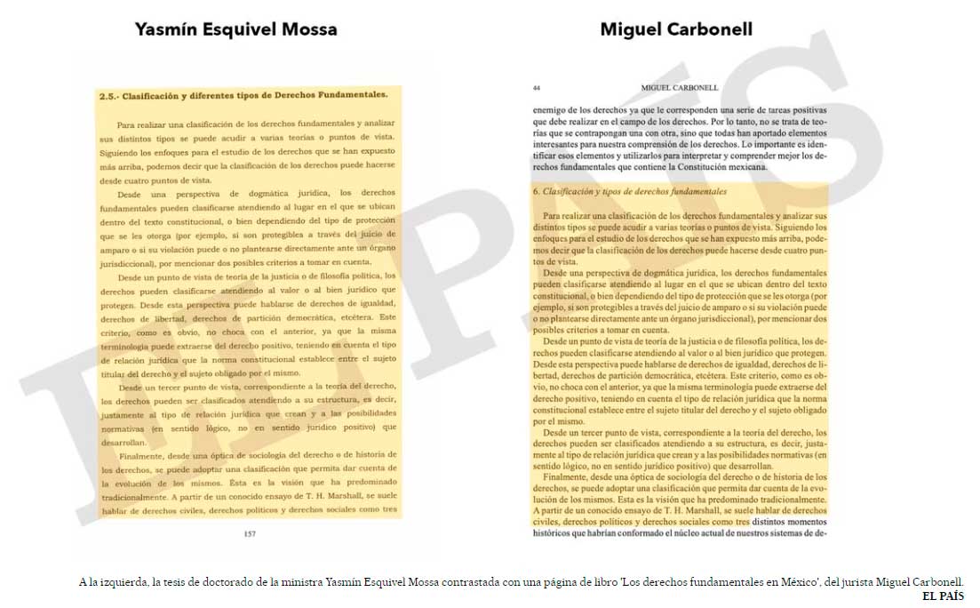 plagioyasmin.jpg