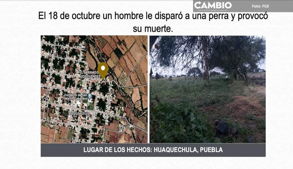 prision cachorra 2.jpg