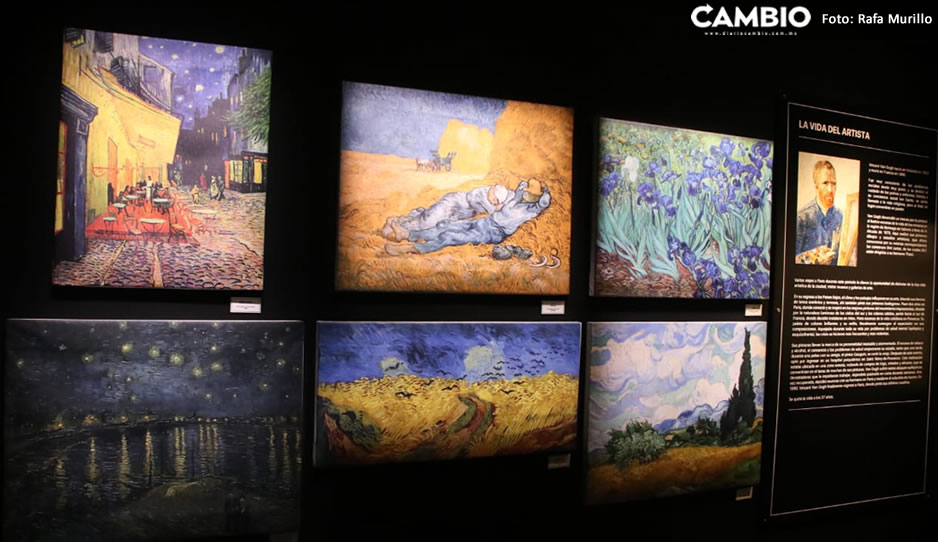 van gogh sergio 10.jpg