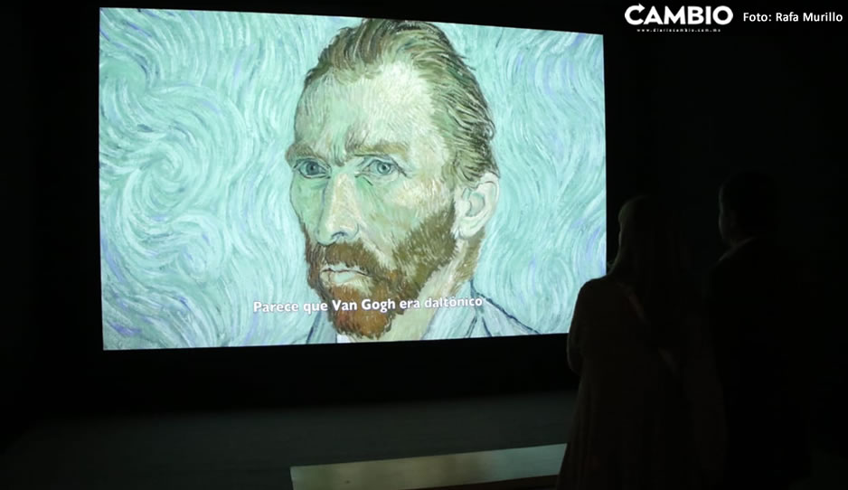 van gogh sergio 3.jpg