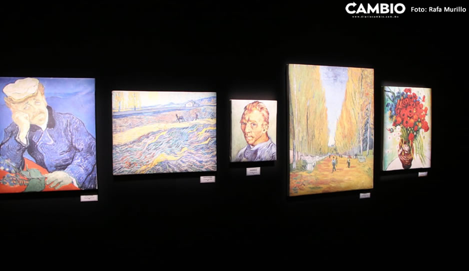 van gogh sergio 5.jpg
