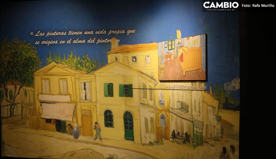 van gogh sergio 8.jpg