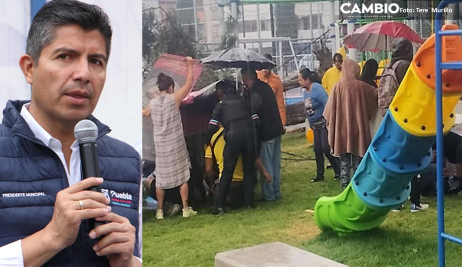 No fue negligencia, Lalo culpa a los fuertes vientos de la caída del árbol que lesionó a un niñito y abuelita en Las Hadas