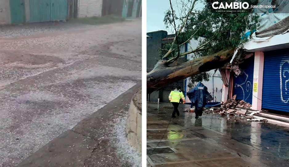 Tremendo aguacero deja áboles caídos y calles inundadas en Puebla (VIDEOS)