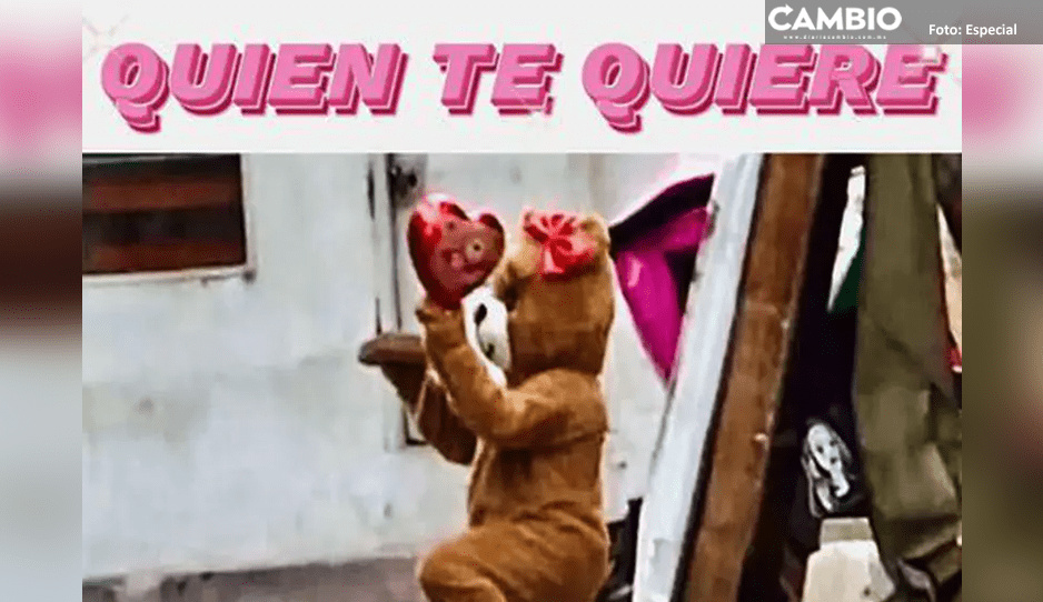 ¡Oso maloso! Policía se disfraza y captura a dos narcomenudistas (VIDEO)