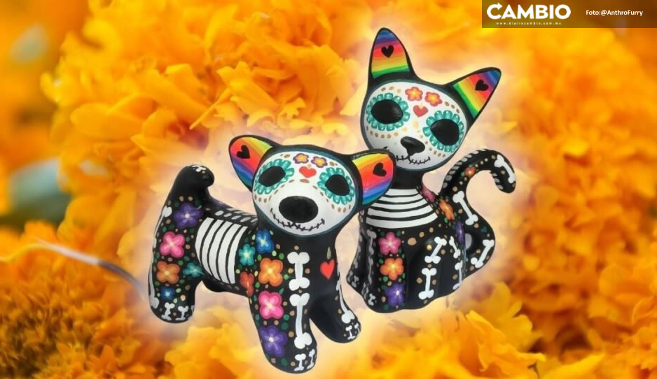 ¿De dónde salió? Te contamos el origen del Día de Muertos para Mascotas