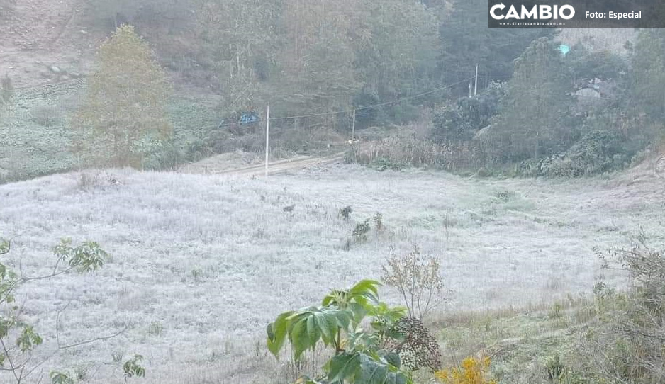 FOTOS: Azota primera helada a municipios de la Sierra Norte de Puebla