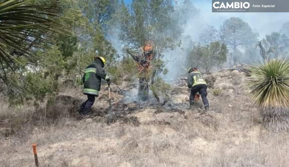 Bomberos de Libres sofocan incendio forestal en La Cañada