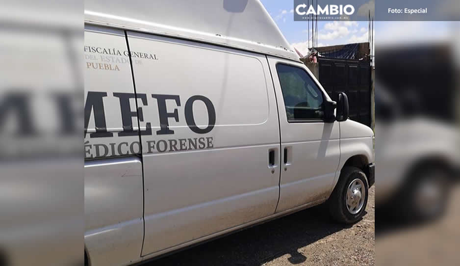 Hallan cadáver de indigente dentro de refrigerador en la Historiadores