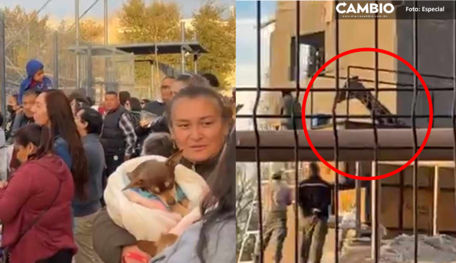 Despiden juarenses a Benito minutos antes de iniciar su camino a Puebla (VIDEO)