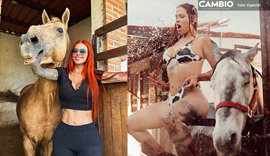 Elena Larrea, la modelo de OnlyFans que rescata caballos maltratados en Puebla (FOTOS)