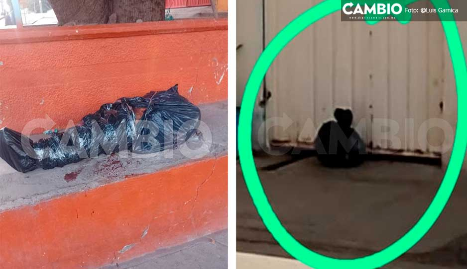 IMÁGENES SENSIBLES: Abandonan cadáver decapitado en pleno zócalo de Tulcingo