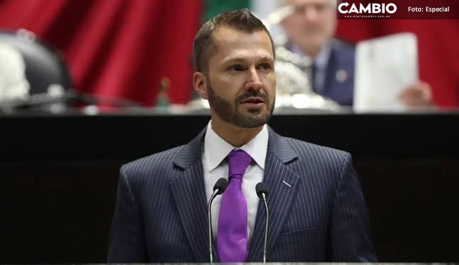 Natale impulsa desde la Cámara reformas para erradicar violencia de género