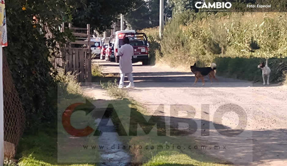 ¡Auch! Trabajador queda prensado cuando trillaba milpa en El Verde (FOTO)