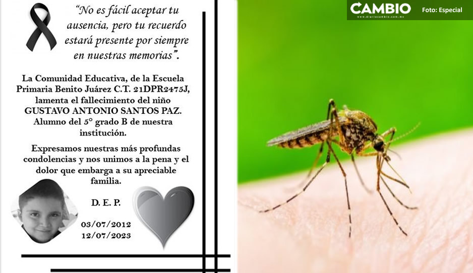 Gustavito, de 11 años, fallece por dengue en Izúcar
