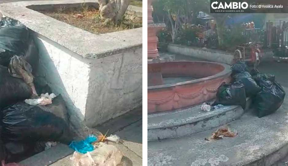 Denuncian foco de contaminación e infección en Chietla por falta de recolección de basura