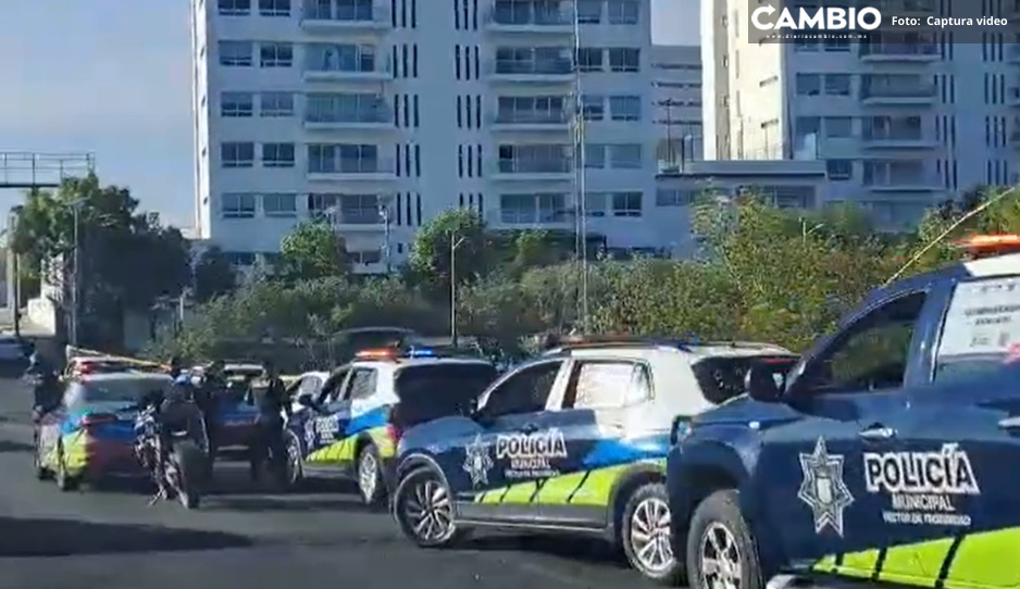 Pánico en Cúmulo de Virgo: patrullas detienen y acorralan auto (VIDEO)