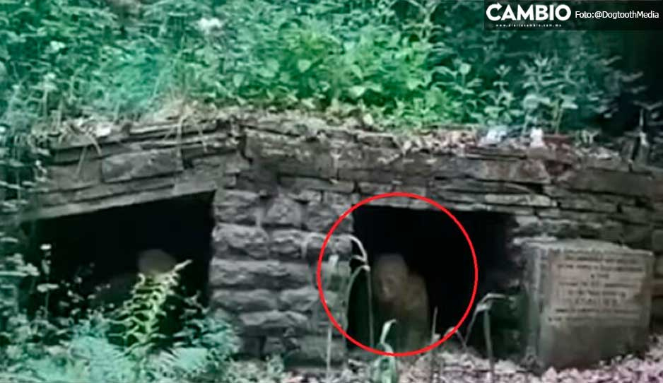VIDEO: Captan fantasma de niña ahogada en mina embrujada