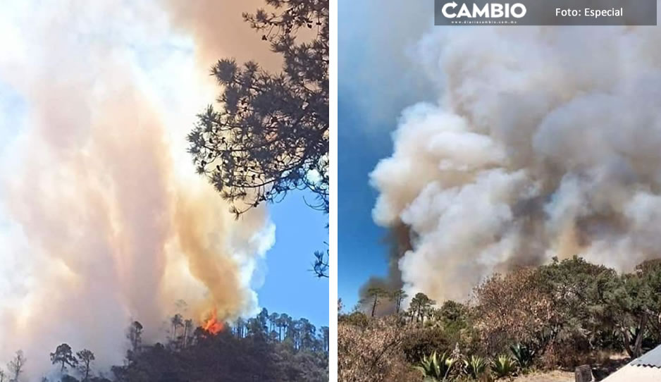 Fuerte incendio forestal consume ‘La Garita’ en Ixtacamaxtitlán (VIDEO)