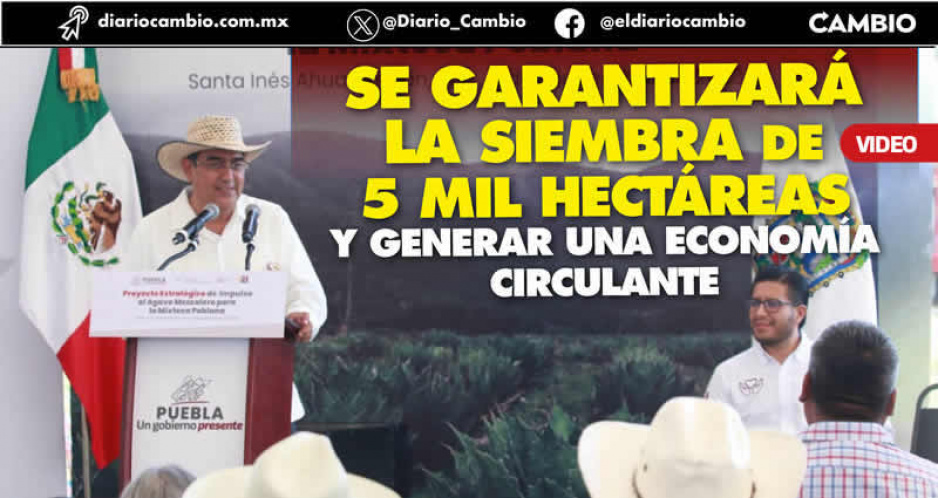 SS pone en marcha estrategia para impulsar el mezcal de la mixteca poblana