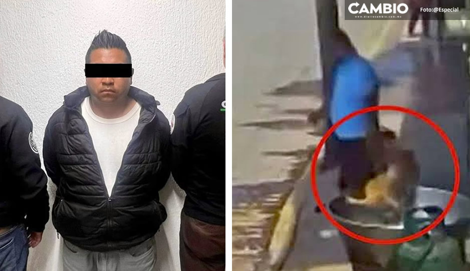 Declaran culpable al infeliz que arrojó a perrito al aceite hirviendo en Edomex