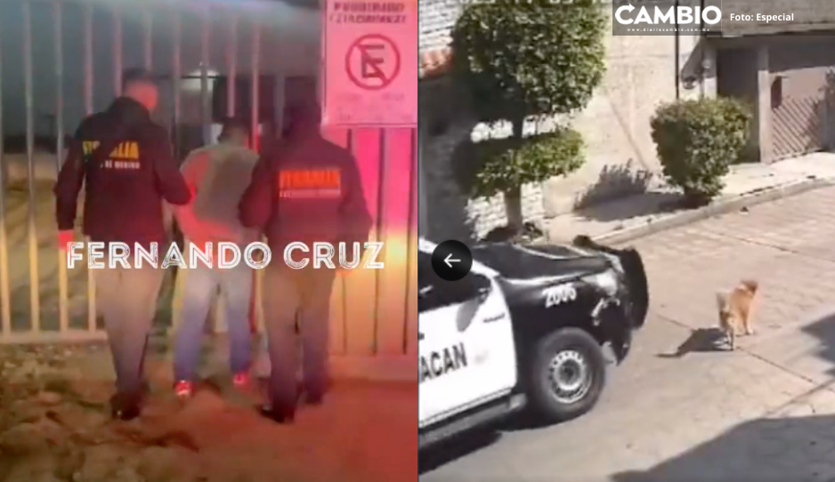VIDEO: Así detuvieron al policía de Chimalhuacán que atropelló despiadadamente a perrito