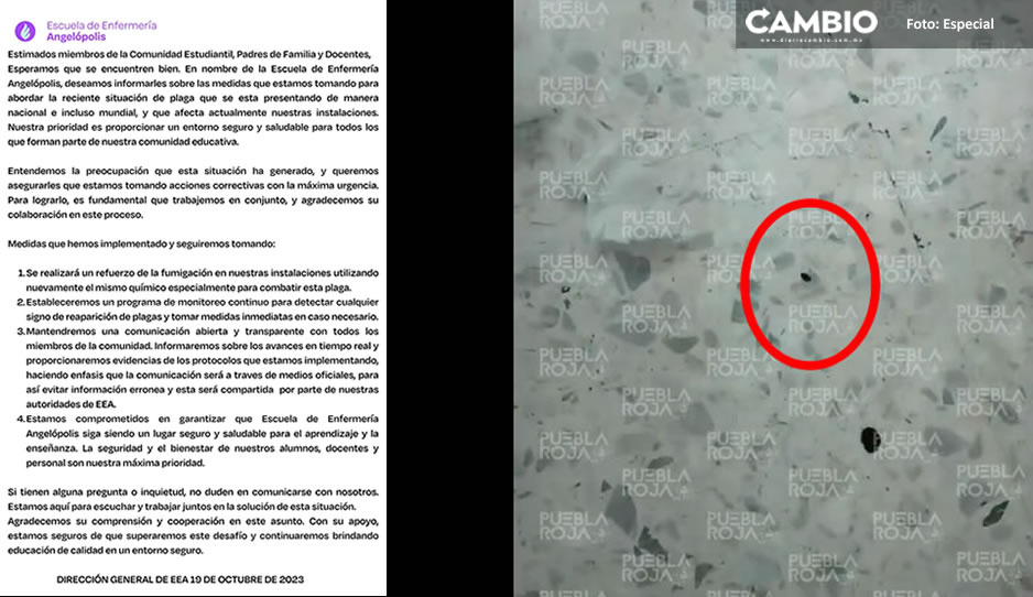 Escuela de enfermería Angelópolis suspende clases por plaga de chinches