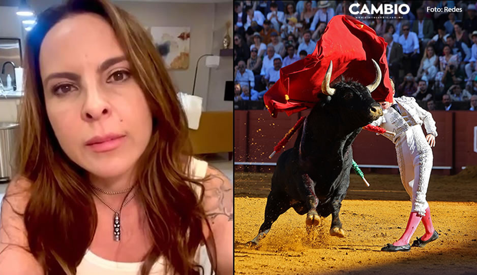 Kate del Castillo rompe en llanto y explota contra las corridas de toros (VIDEO)