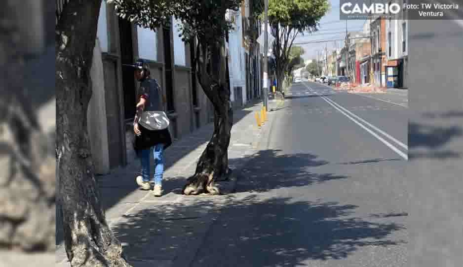 VIDEO: ¡Qué coraje! Reportera poblana exhibe a acosador que se masturbó frente a ella